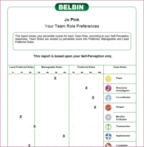 belbin assessment free